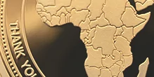 Polished Plate Gold 